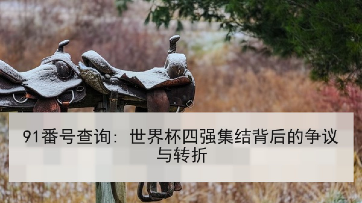 91番号查询: 世界杯四强集结背后的争议与转折 91番号查询: 世界杯四强集结背后的争议与转折
